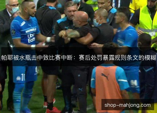 帕耶被水瓶击中致比赛中断：赛后处罚暴露规则条文的模糊